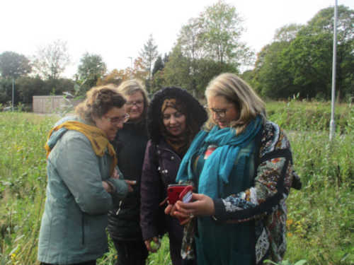 Observing nature with the permaculture design course.