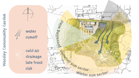 Community garden site analysis 
