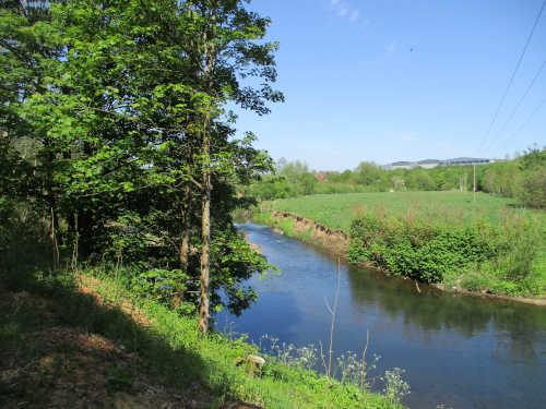 Water brings life - the river Roche