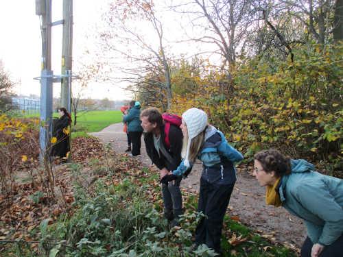 Observation on Day 1 Permaculture Design Course