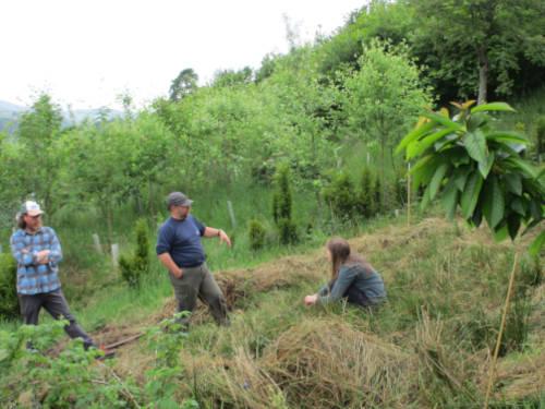 Permaculture Design Course days 7 and 8